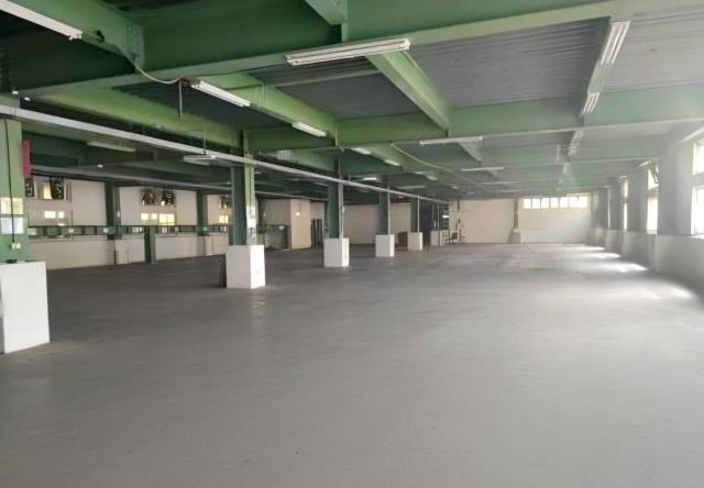 桃園觀音廠房-0