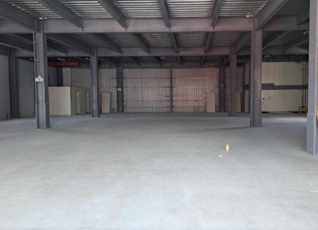 桃園大園廠房-0