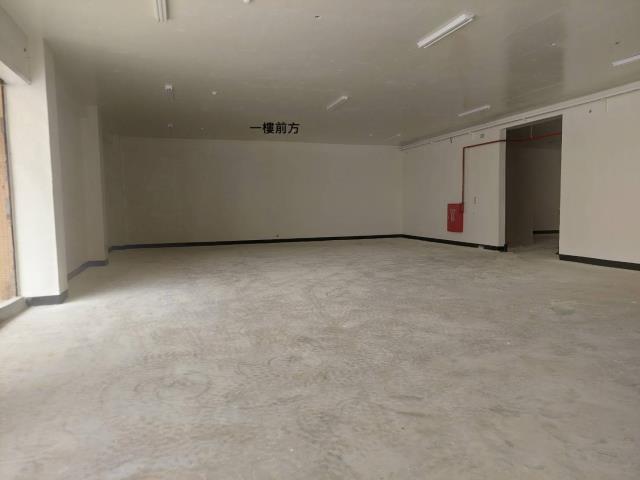 新北樹林廠房-0