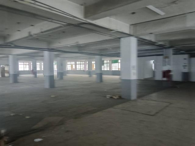 新北中和廠房-0