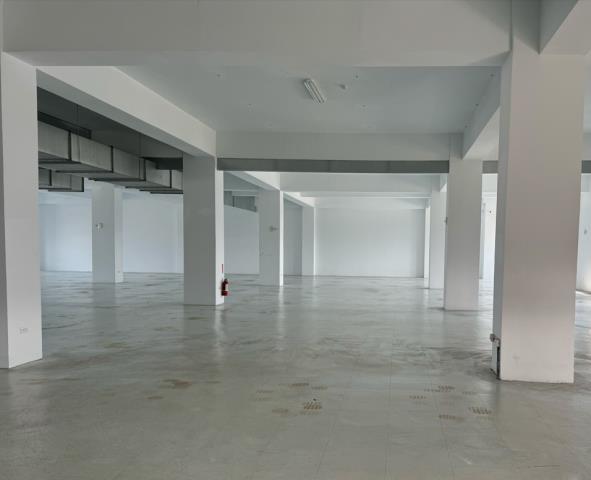 新北新莊廠房-0