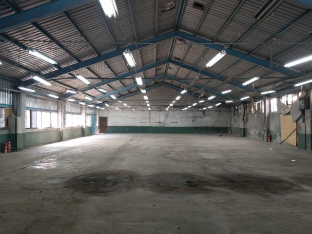 桃園八德廠房-0