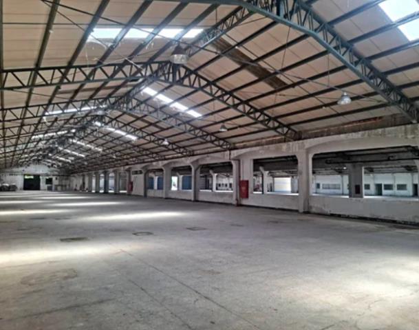 桃園楊梅廠房-0