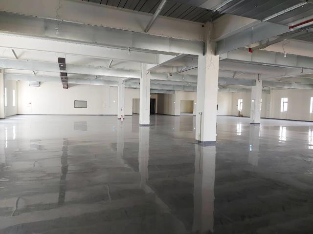 桃園八德廠房-0