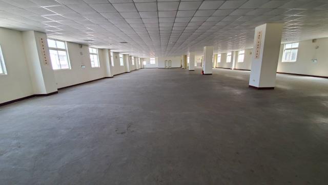 桃園平鎮廠房-0