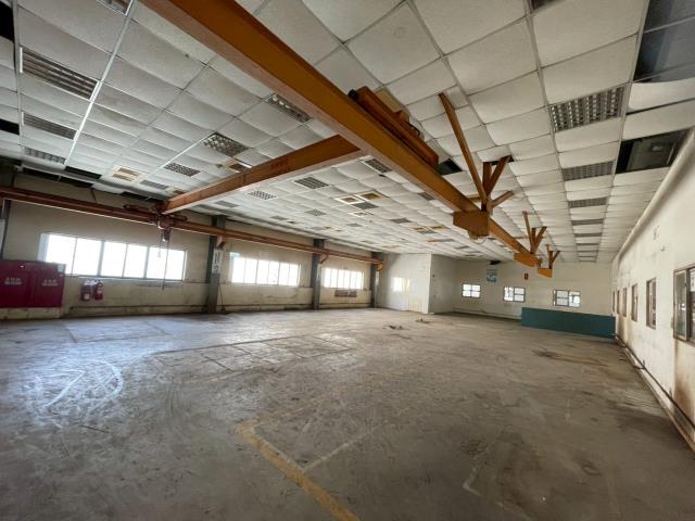 桃園平鎮廠房-0