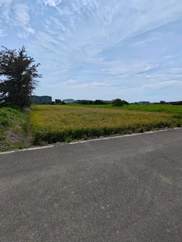 大園農地-0