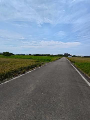 大園農地-1
